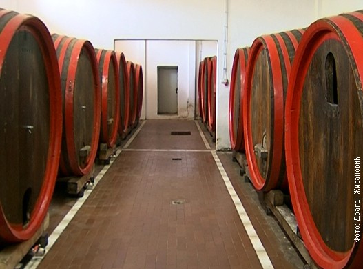 vino 1.JPG